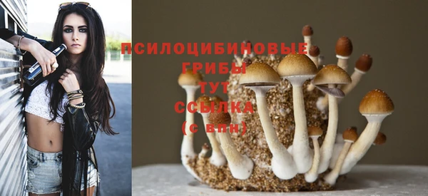 первитин Балахна