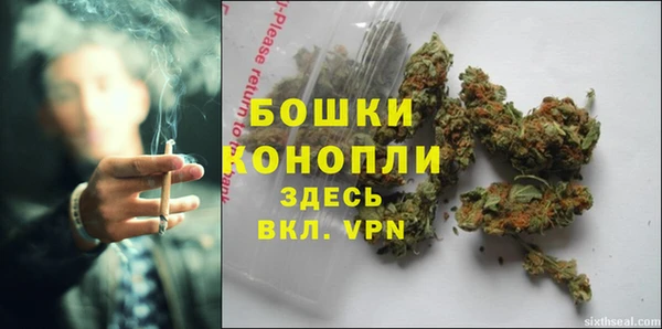 ПСИЛОЦИБИНОВЫЕ ГРИБЫ Балабаново