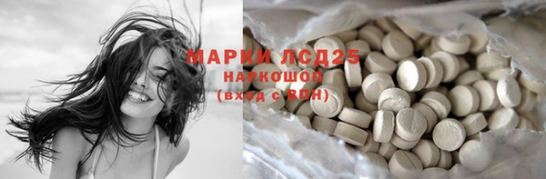 ПСИЛОЦИБИНОВЫЕ ГРИБЫ Балабаново