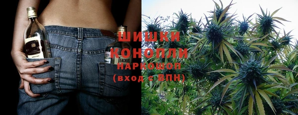 ПСИЛОЦИБИНОВЫЕ ГРИБЫ Балабаново