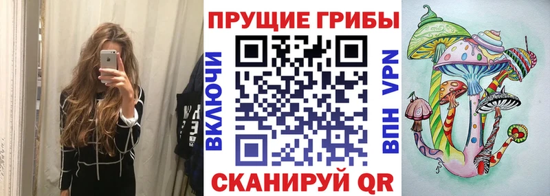 Галлюциногенные грибы ЛСД  Торжок 