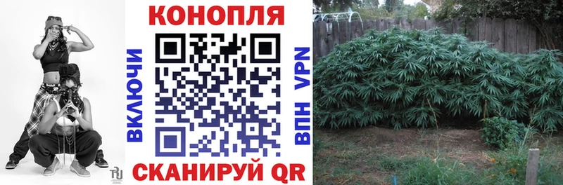 купить  сайты  Торжок  Бошки Шишки SATIVA & INDICA 